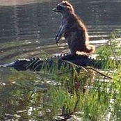 Leslie Caillouet's photo