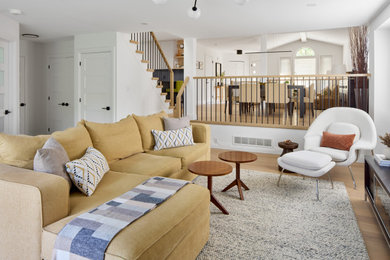 Living room - contemporary living room idea in Toronto