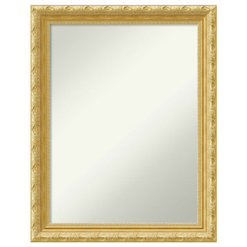 Versailles Gold Non-Beveled Wood Wall Mirror - 22 x 28 in.