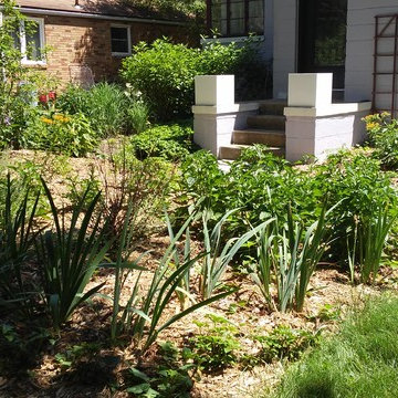 Front Yard Overhaul - One Year Later