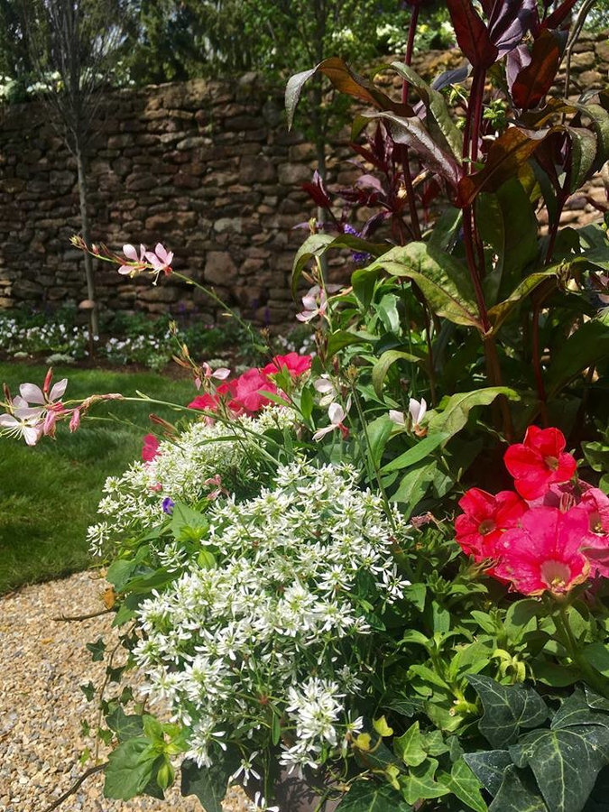 "Secret Garden"- Celebrating Spring!