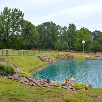 A Creek Dream