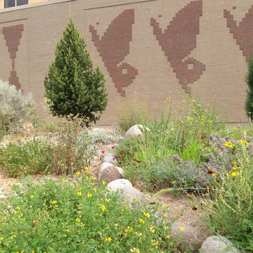 Drought-tolerant Landscapes