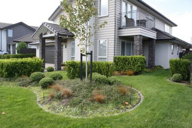 Design ideas for a modern landscaping in Auckland.