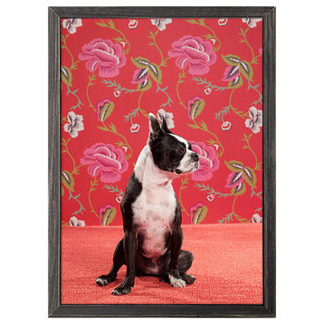 "Dog Collection, Petunia The Terrier" Mini Framed Canvas by Catherine Ledner