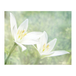 Wildflower Duo - Artwork