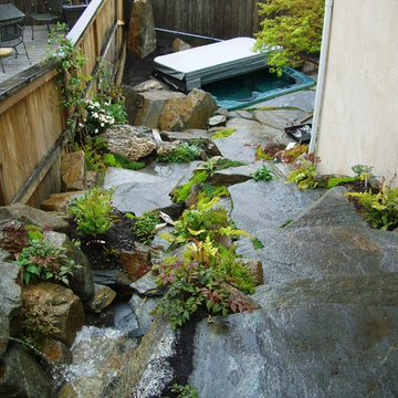 Shell Beach Woodland Stream