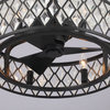 20 in Modern Caged Ceiling fan with Remote Control and Light Kit, Matte Black