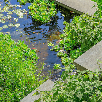 Water-Harvesting Fish Ponds