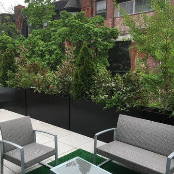 Decks design and planting