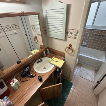 Open Concept Bathroom Remodel, Orlando FL