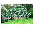 Molloy Lawn & Landscape's profile photo