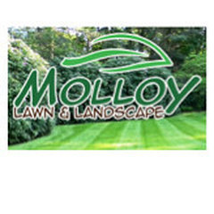 Molloy Lawn & Landscape