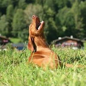 Phine Julia's photo