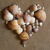 Melissa Owens's photo