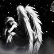 Tammy Solis's photo