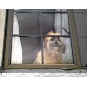 Jan Baldocchi's photo