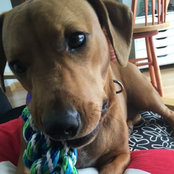 Agnes Trampe's photo