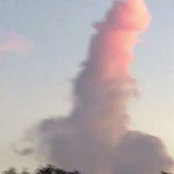 Foto de Vincent Euterpe