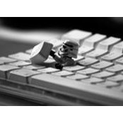 Mengta Yang's photo