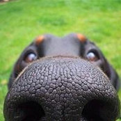 Sandra Stahl's photo