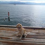 Molly Spira's photo