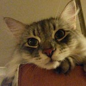 Sue Bach's photo