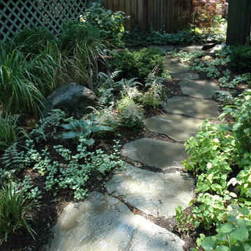 Lincoln Park Transitional