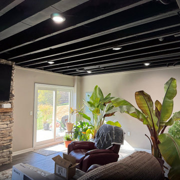 Transitional Basement With Under-Stair Wet Bar