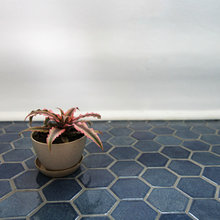 Bathroom Downstairs