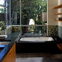 bathroom windows