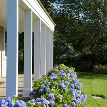Landscape Ideas