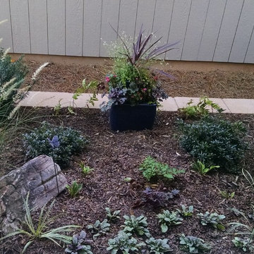 Courtyard Landscape