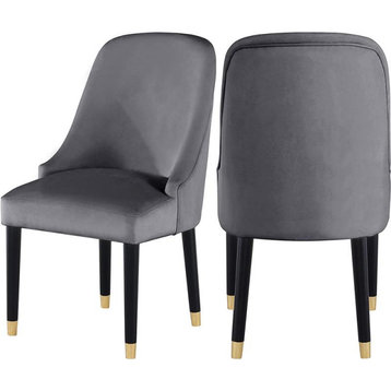 Best Master Serenity Velvet Gray Side Chairs (Set of 2)