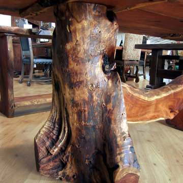 Freeform Mesquite Root Base