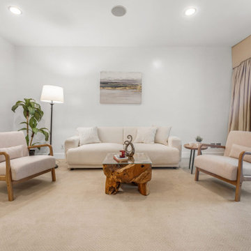 Partial Staging silver package