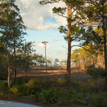 Days Lane, Point Washington