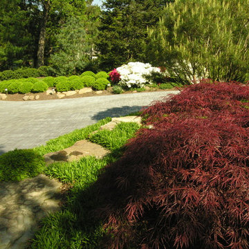 Driveway plantings for Japanese-style home