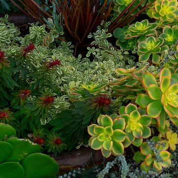 Container gardens