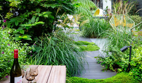 Yard of the Week: Lush Plantings Surround Cozy Seating Areas