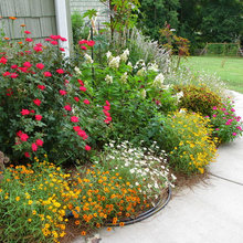 Landscape Ideas