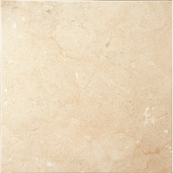 Traditional Wall And Floor Tile by Emser Tile