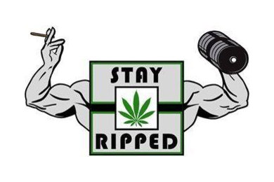 Stay Ripped