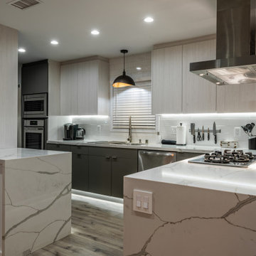 Modern Kitchen Rebirth