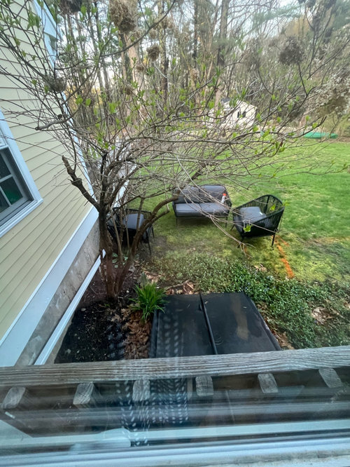 Remove bulkhead to add porch?