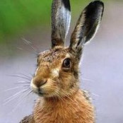 Foto von Jane Evans