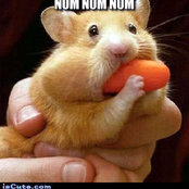 Natalie Bulger's photo