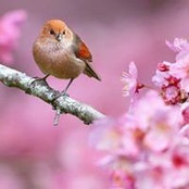 Karin Murray's photo