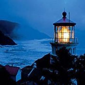 Laura Hoffman's photo