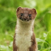 Hadley Reid's photo